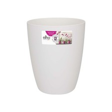 Vase Orchidée Bruxelles