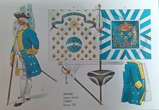 Planche  Rigo AR 16  drapeau