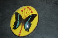 Cadre avec verre bombé