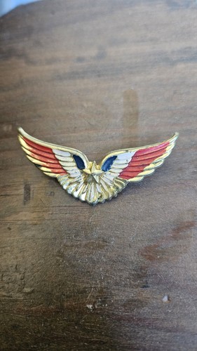 France brevet pilote aviation - france,