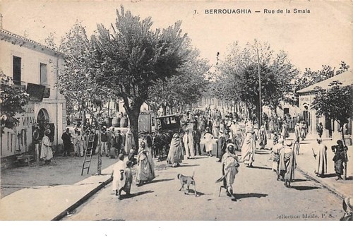 Algérie 67724 - -, n°67724