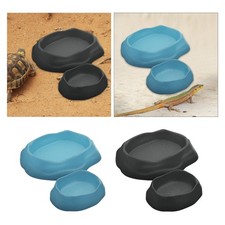 Ensemble de Bols pour Reptiles, Plat Décoratif pour Terrarium, Accessoire