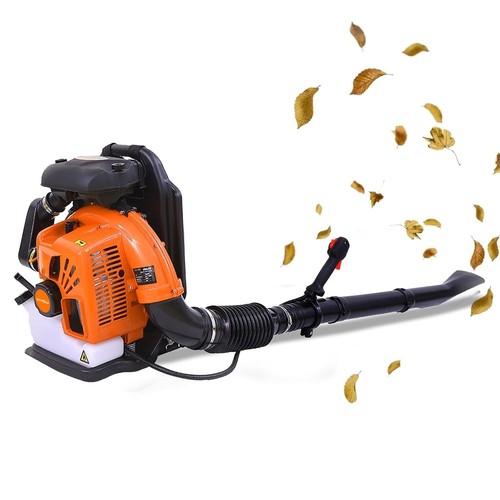 Souffleur feuilles à - de,