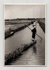 Photographie argentique