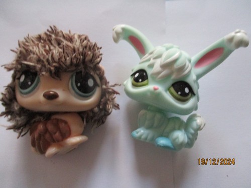 Petshop duo hérisson - petshop,