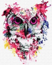 Peinture par numéros, cadre en bois, hibou en couleurs