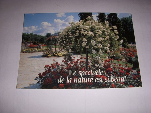 Postcard message fruit tree - cp,