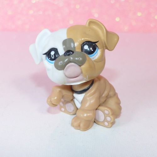 Authentic littlest lps petshop - authentic,