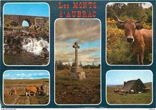Animaux - Vaches - Monts