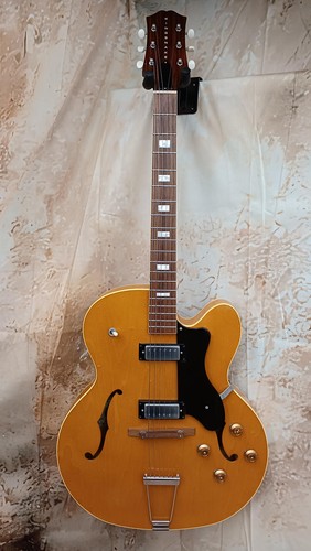 Guitare kingsnake full hollow - guitare,