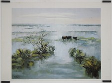 Zarou L'étang de Vaccarès