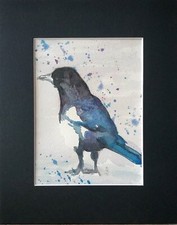 Aquarelle oiseau pie -