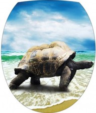 Sticker WC, sticker pour