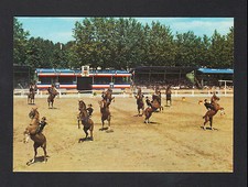 SAUMUR (49) EQUITATION , FETE DU CARROUSEL Présentation de "CROIX DE ST-ANDRE"