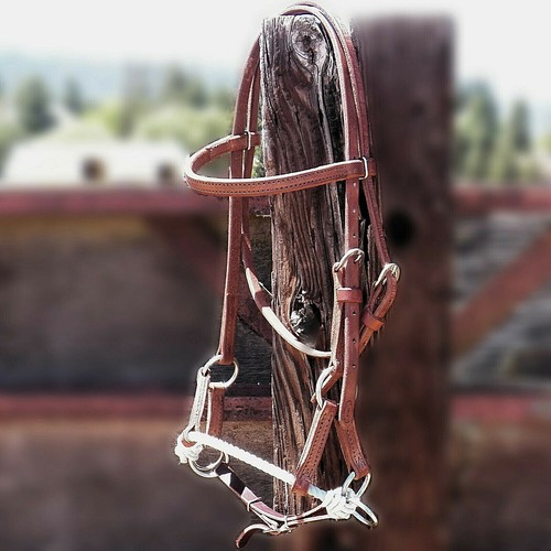Hackamore sans mors cuir de - cuir,