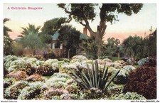 AXXP14-1443-ETATS-UNIS - A california bungalow