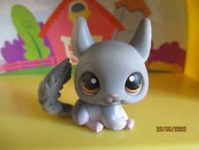 Petshop Chinchilla #144 / Avec