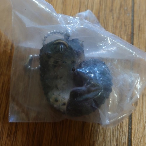 Leopard gecko black - leopard,