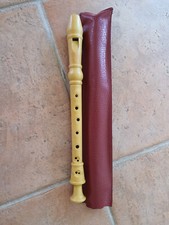 Flute de pan flute d'apprentissage école collège - avec étui - 5 trous - tbe