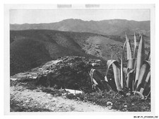 BN-BFP1-0077-MILITARIA - nedroma - département d'oran