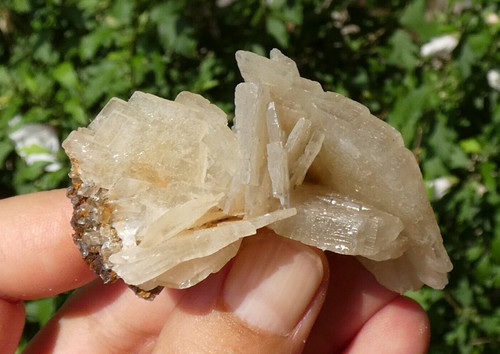 Baryte miel voltennes - de,