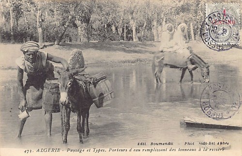 Algérie paysage types - paysage,