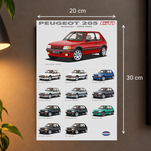Plaque métal peugeot 205 - métal,