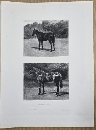 Héliogravure 1900 après - héliogravure, d'après