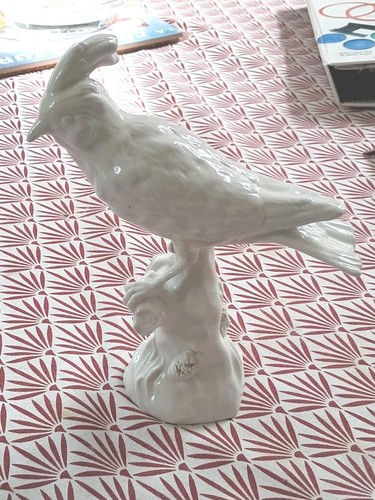Magnifique oiseau sur tronc - magnifique, d