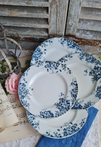 Anciennes assiettes plates - anciennes,