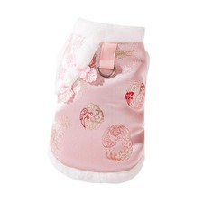 Costume Chat Chien Cheongsam