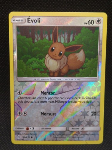 Carte pokemon evoli - reverse,