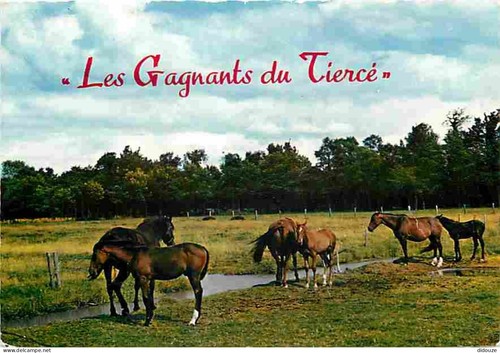 Carte postale animaux - carte,