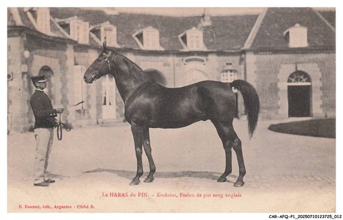 Car afqp1 0007 le - le, haras