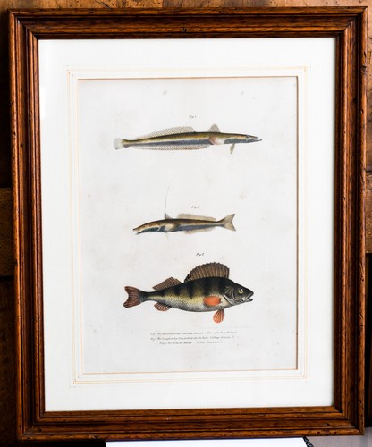 Lithographie originale