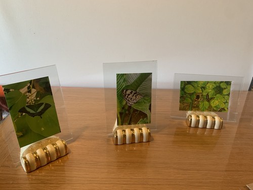 Lot trois porte photo art - lot,