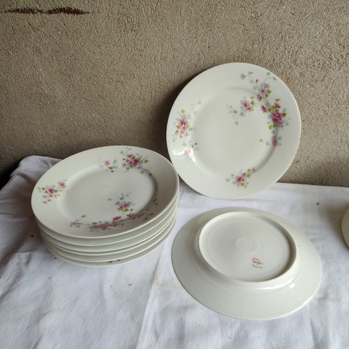 Assiettes porcelaine de - porcelaine,