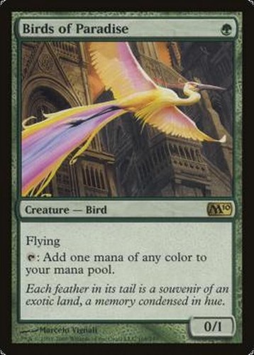 Rush english oiseaux - english,