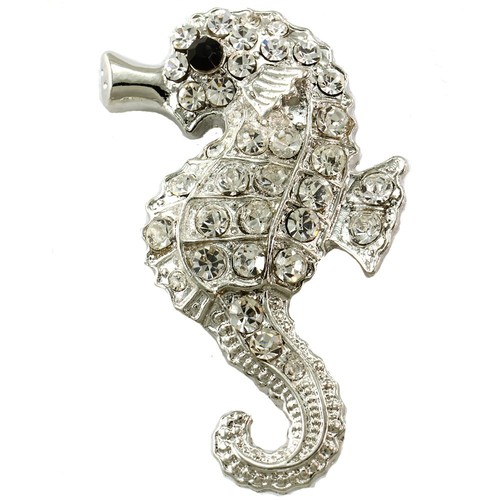 Seahorse animal sea creature - seahorse,