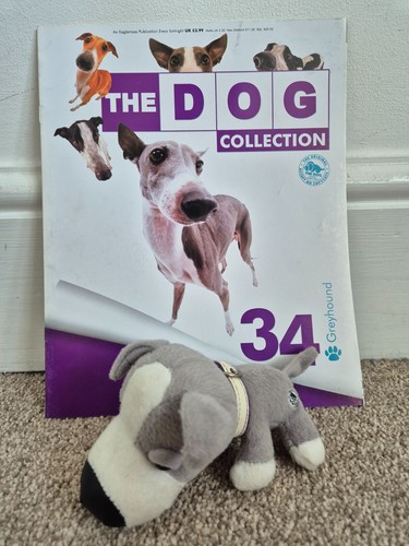 Dog artlist collection - collection, chien