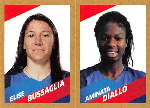 Stickers panini carrefour foot - panini,