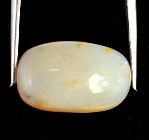 Australien blanc opale - blanc, gemmes