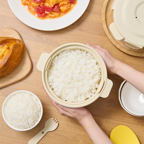 Cuiseur riz micro ondes - cuiseur, à