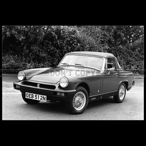 Photo 038226 midget - photo, mg