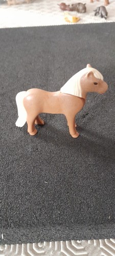 Animal poney centre equestre - animal,