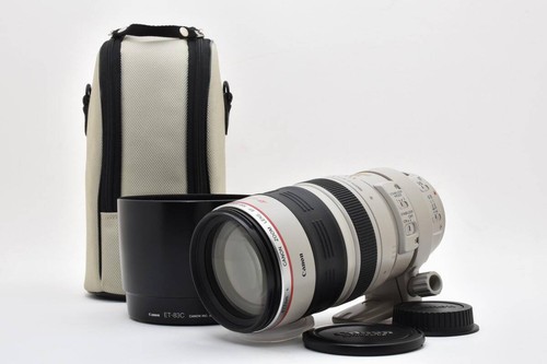 Canon 100 400mm 5 - 100-400mm, l