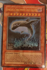 YU GI OH ESPRIT DE LA TERRE IMMORTEL CHACU CHALLHUA   ANPR-FR017 Ultimate Rare
