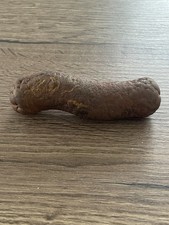 minéraux nodule de marcassite