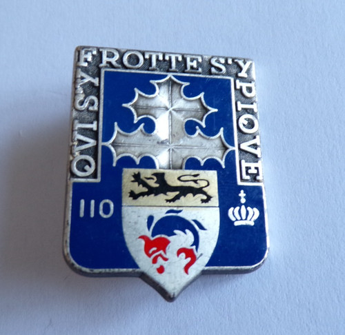 Insigne militaire 110 - insigne, 110°
