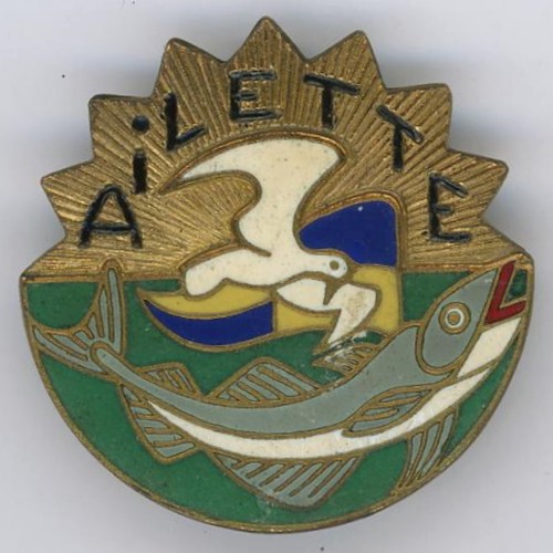Ailette insigne marine - insigne,